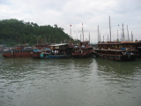 Touristenboote in Halong