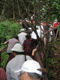 Touristen auf dem Weg zur Höhle
