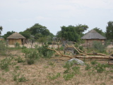 Ländliches Botswana